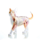 Modèle d'anatomie d'organe animal 4D, intelligence du chat, jouet à assembler, enseignement, appareils électroménagers 2