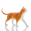 Modèle d'anatomie d'organe animal 4D, intelligence du chat, jouet à assembler, enseignement, appareils électroménagers 4