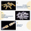 900Pc Crimp Terminal O Shaped Splicing Termination 2.8/4.8/6.3Mm Wire Connector Cable Plier 5