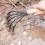 Small Nail Rake with Net Bag Shell Digging Tool Sea Catching Wooden Handle 7
