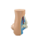 Foot Anatomy Model, Human Normal Flat Arched Muscle Model Feet(Normal ) 3