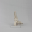 Voetgewrichtsmodel, menselijke anatomie levensgroot, skeletmodel lesmateriaal 4