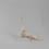 Voetgewrichtsmodel, menselijke anatomie levensgroot, skeletmodel lesmateriaal 5