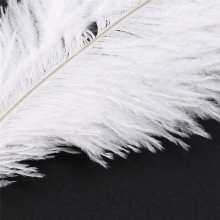 10 kusů bílých přírodních pštrosů 20-25 cm svatební DIY