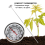 Long Stem Compost Soil Thermometer - Fast Response Stainless Steel 7