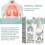 2024 Herbal Lung Cleansing Spray 2