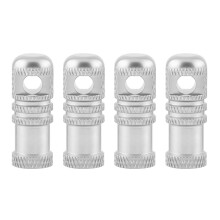 (4) French valve caps - silver