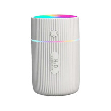 (White) Usb mini horse light humidifier