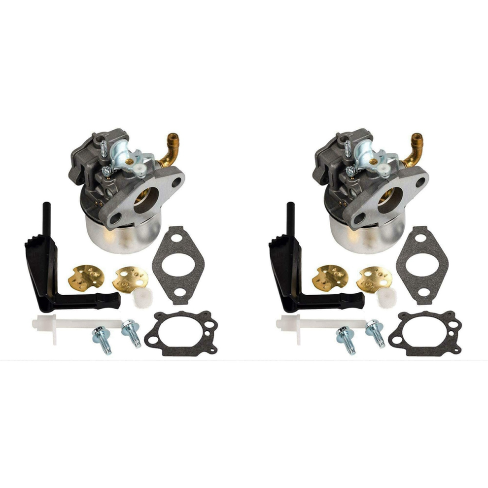 Carburetor Compatible With Intek 206 214731 4711316862898