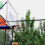 Iron Basketball Net Rust Proof Heavy Duty 11