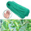 Anti Bird Netting 4x10m Nets for Garden Protector Mesh Protective Netting Aviary Netting for Tree Fruit Vegetable Ponds 5