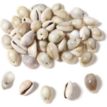 140 Pieces Natural Spiral Seashells Shell with Hole Decoration Natural Seashells Best Gift