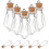 Small Glass Pendant Glass Vial with 10Set 5