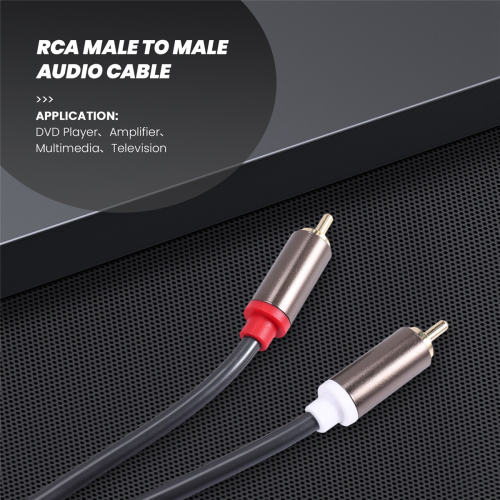 Câble audio Hi-Fi Rexlis 2 vers 2, câble d'enceinte AV OFC 1 m 2
