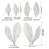 DIY Peony Petal Shape Baking Mold Birthday Cookie Tools Cake Decorating Tools 21