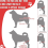 Tutore ortopedico per ginocchio per cani compatibile con legamento crociato e supporto dell'anca 5
