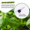 Pack of 10 Soil Moisture Meter, 20 cm Plant Water Level Indicator 5