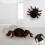 Wall Climbing Spider Simulation Electric Land Wall Climbing Dual Mode 5