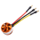D2822 Brushless Motor Outer Rotor Suitable for Remote Control Multi-Ro 3