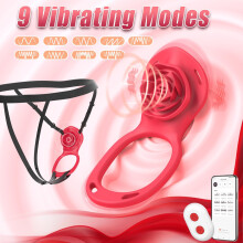 Panty Wearable Vibrator Adult Sex Toys, Remote Control Vibrator