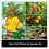(1 set) Portable adjustable telescopic pole fruit picker - 1.6 meters 5