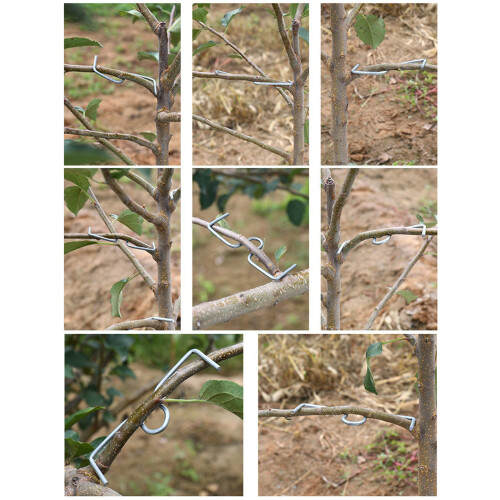 (1 set) Fruit branch puller M-shaped branch puller - 20 pieces 2