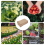 100 sacs de graines Kraft bruns pour la reproduction 8