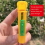 New Queen Bee Cage Beekeeper Plastic Isolator Clip 6