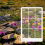 3 stuks zoeker Fibonacci compositieweergave 8