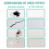 Wall Patch Repair Kit-Drywall Kit-Safe Mending Age 4