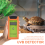 #NAME? 10