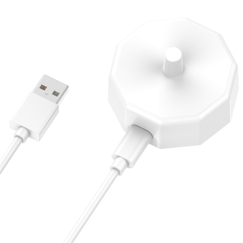 Chargeur de brosse à dents électrique USB pour Ind étanche 2