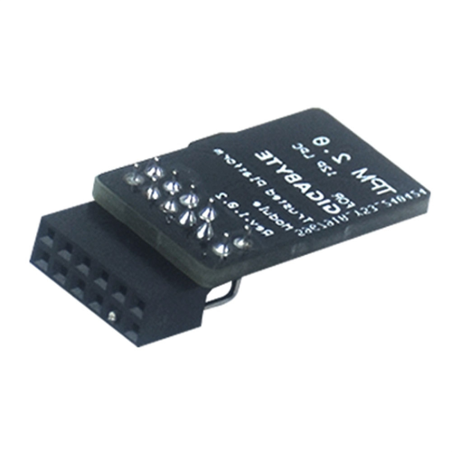 TPM2.0 Module LPC 12Pin met SLB9665 11 Upgrade voor 2