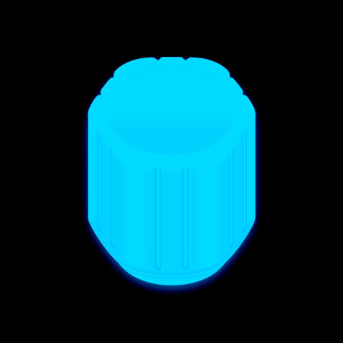 10 stuks gloeiventieldoppen fluorescerend blauw auto M 2