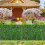 40cm Simulation Zaun Garten Dekorative Pflanzen Kunst 6