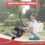 Zündspulenmodul für Solo 423 425 Rucksack Mis 6