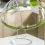 Copertura antischizzi per microonde con vaporiera per acqua per Fo 5