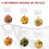 Accessorio per pasta 6 in 1 per planetaria Pres Maker 10