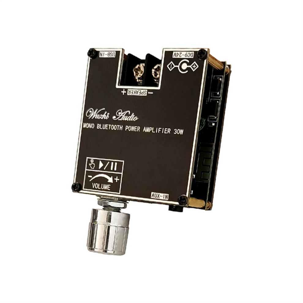 301B 30W Mono Bt5.3 Audio Power Amplifier Amp Tr 4854188188519