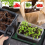 50W Seedling Heat Mat with Thermostat EU Plug 3