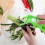 3pcs Multi Cutter with Peeler for Vegetable And Fruit Extra Sharp Stainless Steel , Household Multiple-Function Fruit And Vegetable Peeler 2