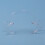 6pcs Lip & Cheek Retractor Dentist Mouth Opener Repeat Use, M 6