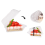 100Pcs Triangle Cheesecake Boxes Triangle Pie Holders Cake Boxes 4