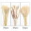 70 Pcs Natural Pampas Grass Decor, 17inch Dried Pampas Grass Decor 5