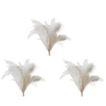 10 Pampas Stems of Pampas Grass for Wedding, Home, Event Decor