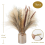 70 Pcs Natural Pampas Grass Decor, 17inch Dried Pampas Grass Decor 4