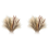 70 Pcs Natural Pampas Grass Decor, 17inch Dried Pampas Grass Decor 1
