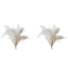 20 Pampas Stems of Pampas Grass for Wedding, Home, Event Decor