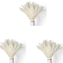 40Pcs Dried Pampas Grass 45CM for Wedding Flower Arrangements Decor