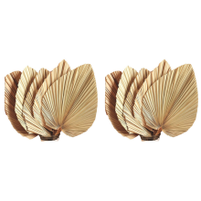 5Pcs 18 Inch Natural Trimmed Palm Spear Tropical Palm Leaves Fans